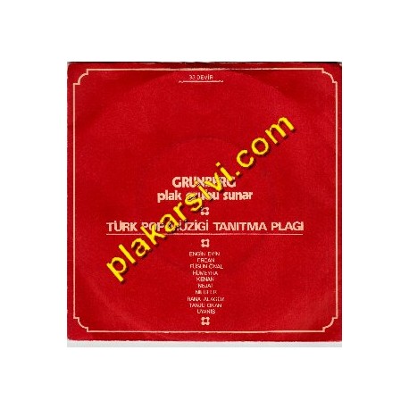 Grünberg Plak Türk Pop Müzigi Tanıtma Plagı