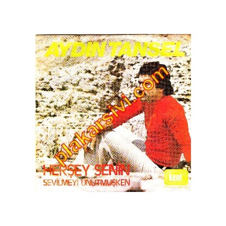 Aydın Tansel - Herşey Senin - Sevilmeyi Unutmuşken